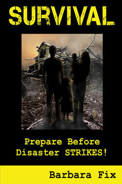 Survival: Prepare Before Disaster Strikes