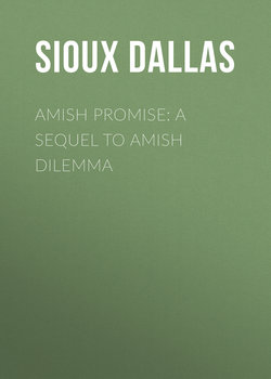 Amish Promise: A Sequel to Amish Dilemma