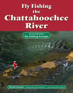 Fly Fishing the Chattahoochee River