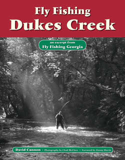 Fly Fishing Dukes Creek