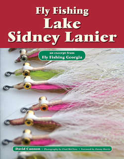 Fly Fishing Lake Sidney Lanier