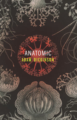 Anatomic