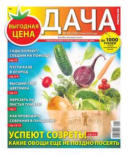 Дача Pressa.ru 10-2020