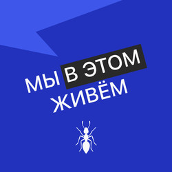 Выпуск № 19 s05 — ИП Некита