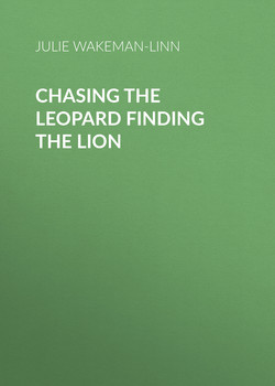 Chasing The Leopard Finding the Lion