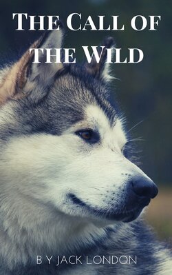 The Call of the Wild