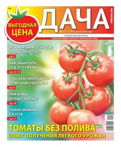 Дача Pressa.ru 11-2020