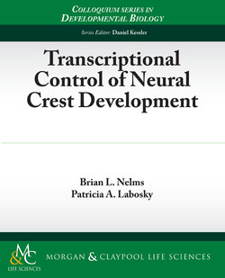 Transcriptional Control of Neural Crest Development