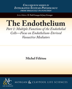 The Endothelium, Part I