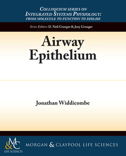 Airway Epithelium