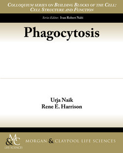 Phagocytosis