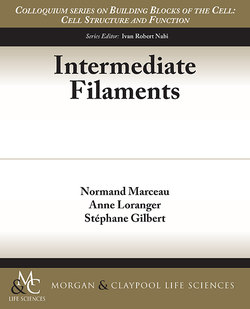 Intermediate Filaments