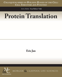Protein Translation