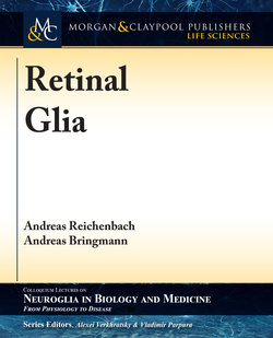 Retinal Glia