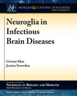 Neuroglia in Infectious Brain Diseases