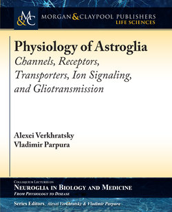 Physiology of Astroglia