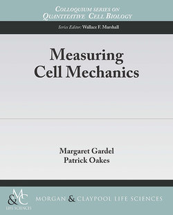 Measuring Cell Mechanics