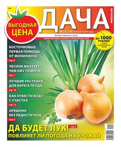 Дача Pressa.ru 12-2020