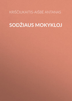 Sodžiaus mokykloj