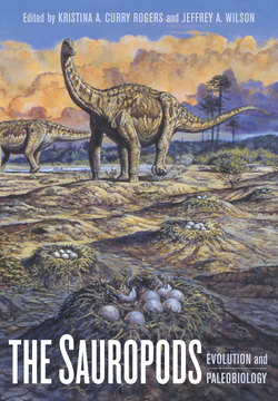 The Sauropods