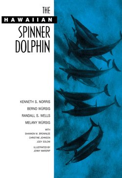 The Hawaiian Spinner Dolphin