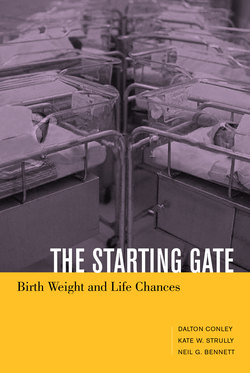 The Starting Gate