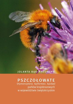 Pszczołowate (Hymenoptera: Apiformes: Apidae) parków krajobrazowych w województwie świętokrzyskim