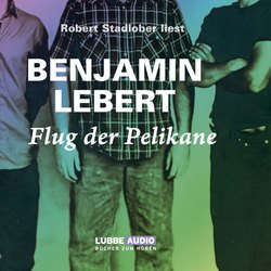 Flug der Pelikane