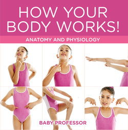 How Your Body Works! | Anatomy and Physiology