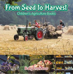 From Seed to Harvest - Children's Agriculture Books