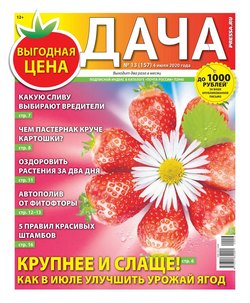 Дача Pressa.ru 13-2020