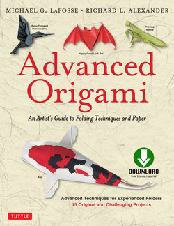 Advanced Origami