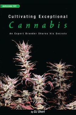 Cultivating Exceptional Cannabis