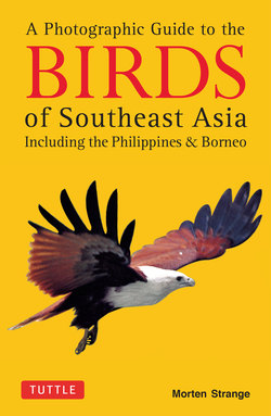 Photographic Guide to the Birds of Southeast Asia