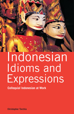 Indonesian Idioms and Expressions