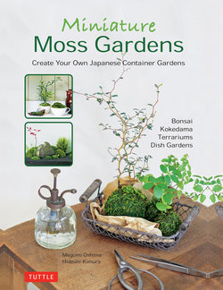 Miniature Moss Gardens