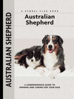 Australian Shepherd