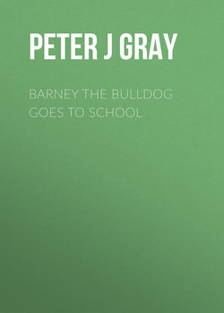 Barney the Bulldog Goes to School