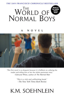 The World of Normal Boys