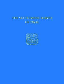 The Settlement Survey of Tikal