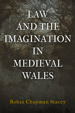 Law and the Imagination in Medieval Wales