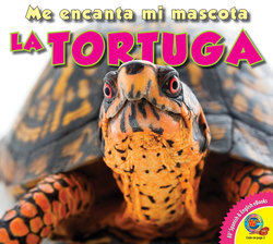 La tortuga