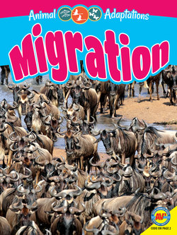 Migration