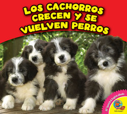 Los cachorros crecen y se vuelven perros