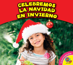 Celebramos la Navidad en invierno