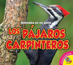 Los pájaros carpinteros