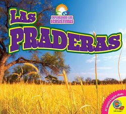 Las praderas