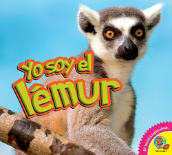 El lémur