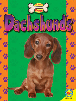 Dachshunds