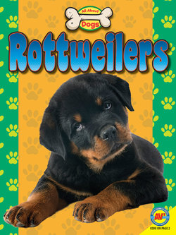 Rottweilers